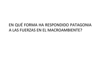EN QUÉ FORMA HA RESPONDIDO PATAGONIA A LAS FUERZAS EN EL MACROAMBIENTE? 