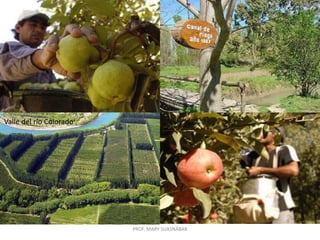 PROF. MARY SUASNÁBAR
Valle del río Colorado
 