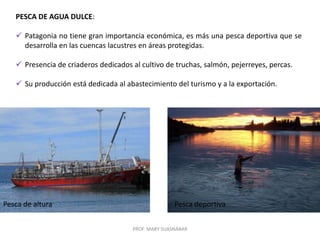 PROF. MARY SUASNÁBAR
PESCA DE AGUA DULCE:
 Patagonia no tiene gran importancia económica, es más una pesca deportiva que se
desarrolla en las cuencas lacustres en áreas protegidas.
 Presencia de criaderos dedicados al cultivo de truchas, salmón, pejerreyes, percas.
 Su producción está dedicada al abastecimiento del turismo y a la exportación.
Pesca deportivaPesca de altura
 