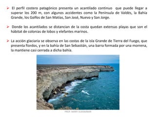 PROF. MARY SUASNÁBAR
 El perfil costero patagónico presenta un acantilado continuo que puede llegar a
superar los 200 m, con algunos accidentes como la Península de Valdés, la Bahía
Grande, los Golfos de San Matías, San José, Nuevo y San Jorge.
 Donde los acantilados se distancian de la costa quedan extensas playas que son el
hábitat de colonias de lobos y elefantes marinos.
 La acción glaciaria se observa en las costas de la isla Grande de Tierra del Fuego, que
presenta fiordos, y en la bahía de San Sebastián, una barra formada por una morrena,
la mantiene casi cerrada a dicha bahía.
 