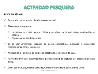 PESCA MARÍTIMA:
 Destacada por su amplia plataforma continental.

 El complejo comprende:



La capturas en mar –pesca costera y de altura, de la que mayor producción se
obtiene-.
El procesamiento del pescado.

 En el Mar Argentino: especies de peces comestibles, moluscos y crustáceos:
merluza, langostinos, calamares.
 Al oeste de la Península de Valdés se practica la recolección de algas.

 Puerto Madryn es el mas importante por la cantidad de capturas y el procesamiento en
tierra.
 Otros son Ushuaia, Puerto Deseado, Comodoro Rivadavia, San Antonio Oeste.
PROF. MARY SUASNÁBAR

 