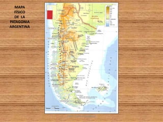 MAPA
FÍSICO
DE LA
PATAGONIA
ARGENTINA

PROF. MARY SUASNÁBAR

 