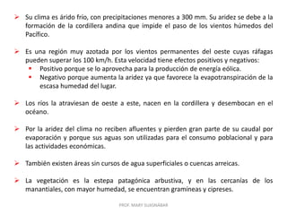  Su clima es árido frío, con precipitaciones menores a 300 mm. Su aridez se debe a la
formación de la cordillera andina que impide el paso de los vientos húmedos del
Pacífico.
 Es una región muy azotada por los vientos permanentes del oeste cuyas ráfagas
pueden superar los 100 km/h. Esta velocidad tiene efectos positivos y negativos:
 Positivo porque se lo aprovecha para la producción de energía eólica.
 Negativo porque aumenta la aridez ya que favorece la evapotranspiración de la
escasa humedad del lugar.
 Los ríos la atraviesan de oeste a este, nacen en la cordillera y desembocan en el
océano.

 Por la aridez del clima no reciben afluentes y pierden gran parte de su caudal por
evaporación y porque sus aguas son utilizadas para el consumo poblacional y para
las actividades económicas.
 También existen áreas sin cursos de agua superficiales o cuencas arreicas.

 La vegetación es la estepa patagónica arbustiva, y en las cercanías de los
manantiales, con mayor humedad, se encuentran gramíneas y cipreses.
PROF. MARY SUASNÁBAR

 