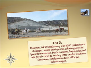 Día 3: Desayuno. 09:30 Ensillamos y a las 10:00 partimos por el antiguo camino usado por los colonos galeses en época de inundación. Desde la meseta, bajamos hacia el valle por el campo de Austin y entre canales y caminos chacareros, cabalgaremos hacia el Parque Paleontológico. 