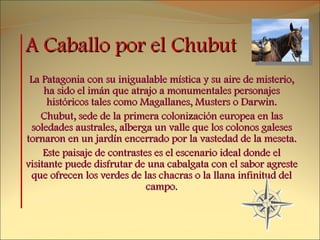 A Caballo por el Chubut La Patagonia con su inigualable mística y su aire de misterio, ha sido el imán que atrajo a monumentales personajes históricos tales como Magallanes, Musters o Darwin. Chubut, sede de la primera colonización europea en las soledades australes, alberga un valle que los colonos galeses tornaron en un jardín encerrado por la vastedad de la meseta. Este paisaje de contrastes es el escenario ideal donde el visitante puede disfrutar de una cabalgata con el sabor agreste que ofrecen los verdes de las chacras o la llana infinitud del campo. 