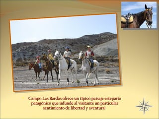 Campo Las Bardas ofrece un típico paisaje estepario patagónico que infunde al visitante un particular sentimiento de libertad y aventura!  