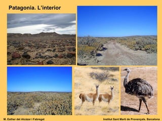 Patagonia. L’interior M. Esther del Alcázar i Fabregat Institut Sant Martí de Provençals. Barcelona 