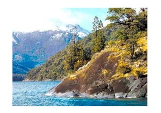 Patagonia En Camping II