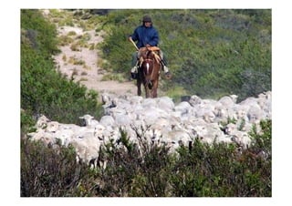 Patagonia En Camping II