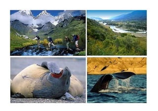 Patagonia En Camping II