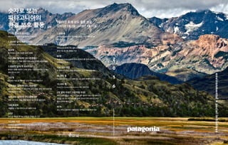 Patagonia Environmental + Social Initiatives 2016