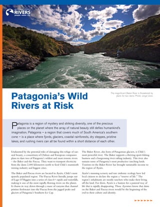 Patagonia’s Wild
                                                                                                The magnificent Baker River is threatened by
                                                                                                     plans for two dams. Photo: Jorge Uzon.




Rivers at Risk

P   atagonia is a region of mystery and striking diversity, one of the precious
    places on the planet where the array of natural beauty still defies humankind’s
imagination. Patagonia – a region that covers much of South America’s southern
cone – is a place where fjords, glaciers, coastal rainforests, dry steppes, pristine
lakes, and rushing rivers can all be found within a short distance of each other.


Undaunted by the potential risks of damaging this refuge of nat-     The Baker River, also born of Patagonian glaciers, is Chile’s
ural beauty, a consortium of Chilean and European companies          most powerful river. The Baker supports a thriving sport-fishing
plans to dam two of Patagonia’s wildest and most remote rivers       business and a burgeoning river rafting industry. This river also
– the Baker and the Pascua. They want to transport electricity       sustains some of Patagonia’s most productive ranching lands.
from the dams 2,400 kilometers north to feed Chile’s mammoth         Tourism on the Baker River has brought sustainable income to
mining industry and biggest cities.                                  the region of Aysén.

The Baker and Pascua rivers are located in Aysén, Chile’s most       Aysén’s stunning scenery and rare endemic ecology have led
sparsely populated region. The Pascua River literally jumps out      local citizens to declare the region a “reserve of life.” The
of Lago O’Higgins into a series of class-6+ rapids and waterfalls,   region’s inhabitants are mostly ranchers who make their living
making it one of the most rapidly flowing rivers on the planet.      off the land. For them, Aysén is a bastion for a pastoral way of
It churns its way down through a maze of canyons that channel        life that is rapidly disappearing. These Ayseninos know that dams
pristine freshwater into the Pascua from the jagged peaks and        on the Baker and Pascua rivers would be the beginning of the
glaciers of Patagonia’s Southern Ice Cap.                            end to their culture and identity.


                                                                                                                        dddddd
 