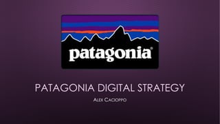 PATAGONIA DIGITAL STRATEGY
ALEX CACIOPPO
 
