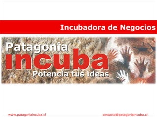 Incubadora de Negocios 