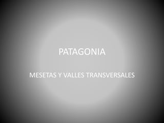 PATAGONIA
MESETAS Y VALLES TRANSVERSALES
 