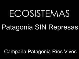 ECOSISTEMAS
Patagonia SIN Represas


Campaña Patagonia Ríos Vivos
 