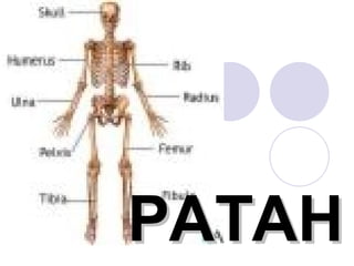 PATAH 