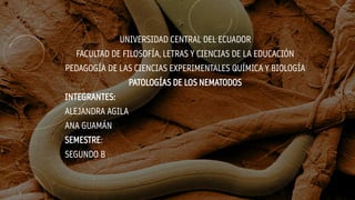 UNIVERSIDAD CENTRAL DEL ECUADOR
FACULTAD DE FILOSOFÍA, LETRAS Y CIENCIAS DE LA EDUCACIÓN
PEDAGOGÍA DE LAS CIENCIAS EXPERIMENTALES QUÍMICA Y BIOLOGÍA
PATOLOGÍAS DE LOS NEMATODOS
INTEGRANTES:
ALEJANDRA AGILA
ANA GUAMÁN
SEMESTRE:
SEGUNDO B
 