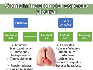 Torácica
Mediastin
ales
Parenquimatosas
Extra
torácica
Cervical
es
Abdomin
ales
Hematóg
enas
 Infección
broncopulmonar
 Infecciones
Postoperatorias
 Traumatismos de
tórax
 Punción pleural
 Biopsia pulmonar
 Cervicales:
Focos orofaríngeos
 Abdominales:
Abscesos
subfrénicos,
Pancreatitis agudas,
Abscesos hepáticos.
 