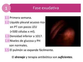 Fase exudativa1
1.1 Primera semana.
1.2 Líquido pleural acuoso rico
en PT con pocos LEU
(<500 células x ml).
1.3 Densidad inferior a 1017.
1.4 Niveles de glucosa y PH
son normales.
1.5 El pulmón se expande fácilmente.
El drenaje y terapia antibiótica son suficientes.
 