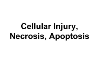 Cellular Injury,
Necrosis, Apoptosis
 