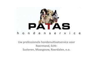 Photo Album Uw professionele hondenuitlaatservice voor Roermond, Echt-Susteren, Maasgouw, Roerdalen, e.o. 