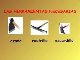 azada rastrillo  escardillo LAS HERRAMIENTAS NECESARIAS   