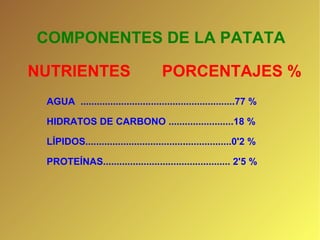 COMPONENTES DE LA PATATA NUTRIENTES  PORCENTAJES %  AGUA  .........................................................77 % HIDRATOS DE CARBONO ........................18 % LÍPIDOS......................................................0'2 % PROTEÍNAS............................................... 2'5 %  