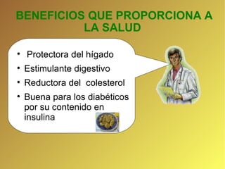 BENEFICIOS QUE PROPORCIONA A LA SALUD Protectora del hígado Estimulante digestivo Reductora del  colesterol Buena para los diabéticos  por su contenido en insulina  