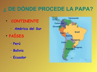 ¿ DE DÓNDE PROCEDE LA PAPA? CONTINENTE América del Sur PAÍSES Perú Bolivia Ecuador 