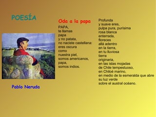 PAPA, te llamas papa y no patata, no naciste castellana: eres oscura como nuestra piel, somos americanos, papa, somos indios. Profunda y suave eres, pulpa pura, purísima rosa blanca enterrada, floreces allá adentro en la tierra, en tu lluviosa tierra originaria, en las islas mojadas de Chile tempestuoso, en Chiloé marino, en medio de la esmeralda que abre su luz verde sobre el austral océano. Oda a la papa   Pablo Neruda POESÍA 