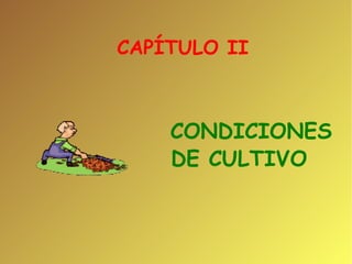 CAPÍTULO II CONDICIONES DE CULTIVO  