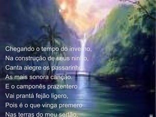 Chegando o tempo do inverno,  Na construção de seus ninho, Canta alegre os passarinho As mais sonora canção. E o camponês prazentero Vai prantá fejão ligero, Pois é o que vinga premero  Nas terras do meu sertão.  