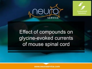 www.neuroservice.com
Effect of compounds on
glycine-evoked currents
of mouse spinal cord
 