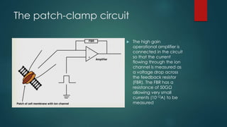 Basic principle
 The principle of the method is to isolate a patch of
membrane electrically from the external solution and to
record current flowing into the patch
 This is achieved by pressing a fire-polished glass pipette,
which has been filled wit suitable electrolyte solution,
against the surface of a cell and applying light suction
 10GΩ resistor at 20C, the standard deviation of the
current noise at 1kHz will be 0.04pA
 