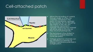Cell
Patch-clamp
Suck a small piece of
membrane onto the
tip of a glass
micropipette
(~ 1 µm in diameter)
 