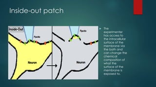 Cell
“Gigaohm-seal”
R > 1 GOhm
Patch-clamp
 