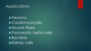 Applications
Neurons
Cardiomyocytes
Muscle fibers
Panceratic betta cells
Bacteria
Kidney cells
 