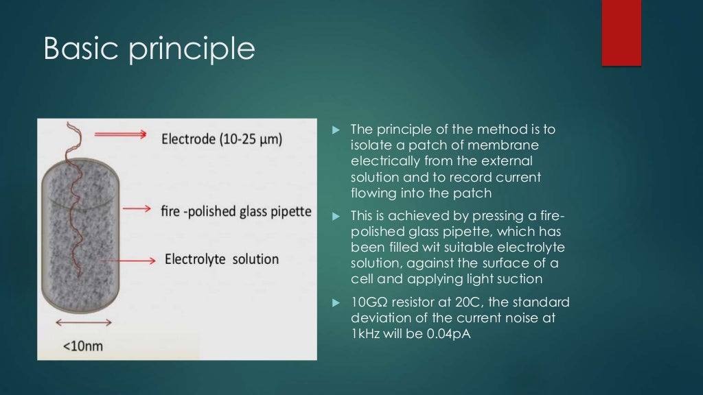 Patch clamp technique
