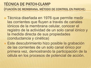 TÉCNICA DE PATCH-CLAMP
(FIJACIÓN DE MEMBRANA, MÉTODO DE CONTROL EN PARCHE)
 Técnica diseñada en 1976 que permite medir
las corrientes que fluyen a través de canales
iónicos de la membrana celular, conocer el
registro de la actividad de un solo canal iónico y
la medida directa de sus propiedades
(conductancia y cinética)
 Este descubrimiento hizo posible la grabación
de las corrientes de un solo canal iónico por
primera vez, demostrando la participación de la
célula en los procesos de potencial de acción.
 