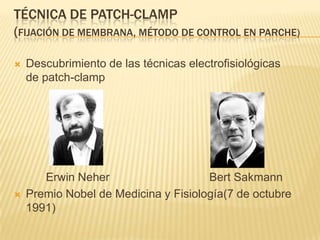 TÉCNICA DE PATCH-CLAMP
(FIJACIÓN DE MEMBRANA, MÉTODO DE CONTROL EN PARCHE)
 Descubrimiento de las técnicas electrofisiológicas
de patch-clamp
Erwin Neher Bert Sakmann
 Premio Nobel de Medicina y Fisiología(7 de octubre
1991)
 