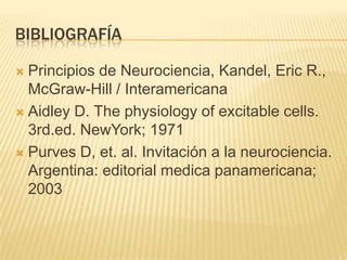 BIBLIOGRAFÍA
 Principios de Neurociencia, Kandel, Eric R.,
McGraw-Hill / Interamericana
 Aidley D. The physiology of excitable cells.
3rd.ed. NewYork; 1971
 Purves D, et. al. Invitación a la neurociencia.
Argentina: editorial medica panamericana;
2003
 