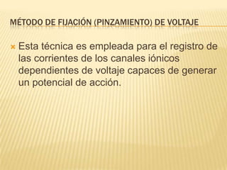 MÉTODO DE FIJACIÓN (PINZAMIENTO) DE VOLTAJE
 Esta técnica es empleada para el registro de
las corrientes de los canales iónicos
dependientes de voltaje capaces de generar
un potencial de acción.
 