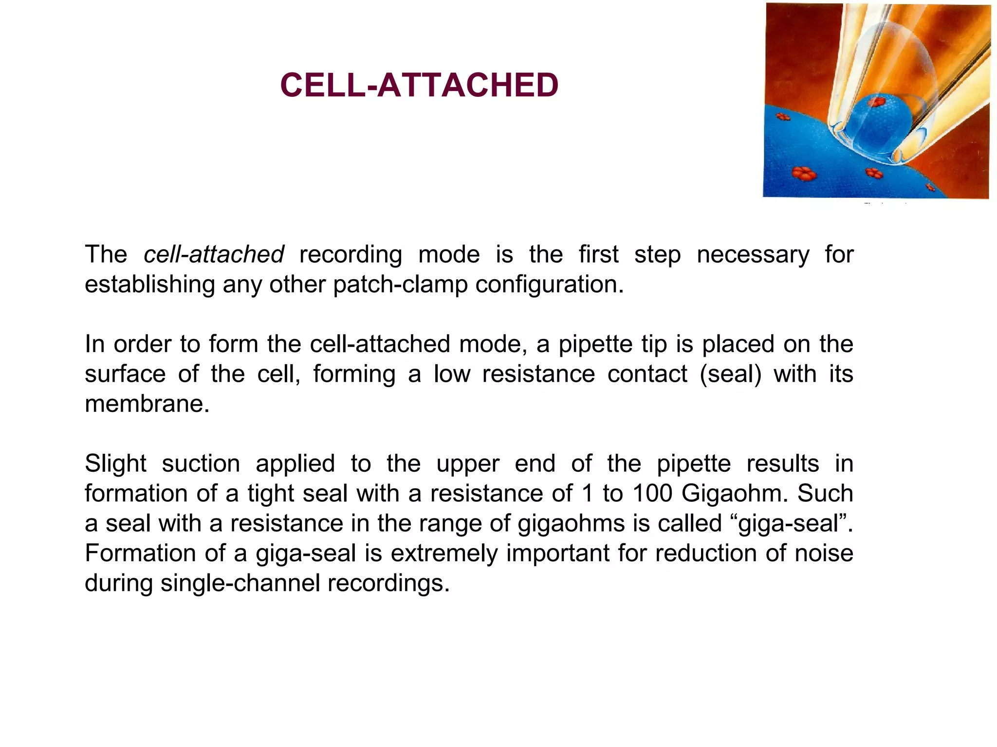 The cell-attached recording mode is the first step necessary for
establishing any other patch-clamp configuration.
In order to form the cell-attached mode, a pipette tip is placed on the
surface of the cell, forming a low resistance contact (seal) with its
membrane.
Slight suction applied to the upper end of the pipette results in
formation of a tight seal with a resistance of 1 to 100 Gigaohm. Such
a seal with a resistance in the range of gigaohms is called “giga-seal”.
Formation of a giga-seal is extremely important for reduction of noise
during single-channel recordings.
CELL-ATTACHED
 