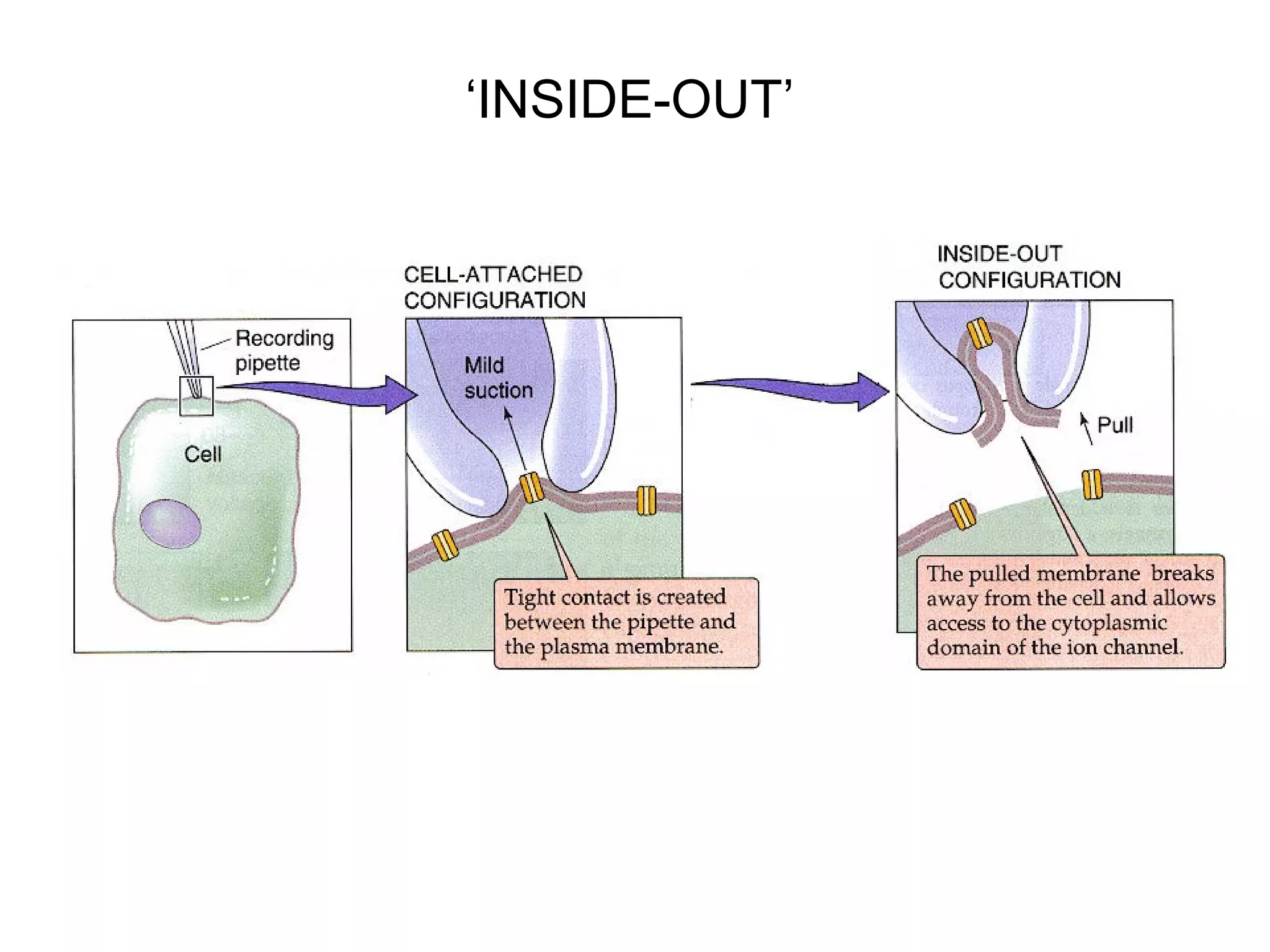 ‘INSIDE-OUT’
 