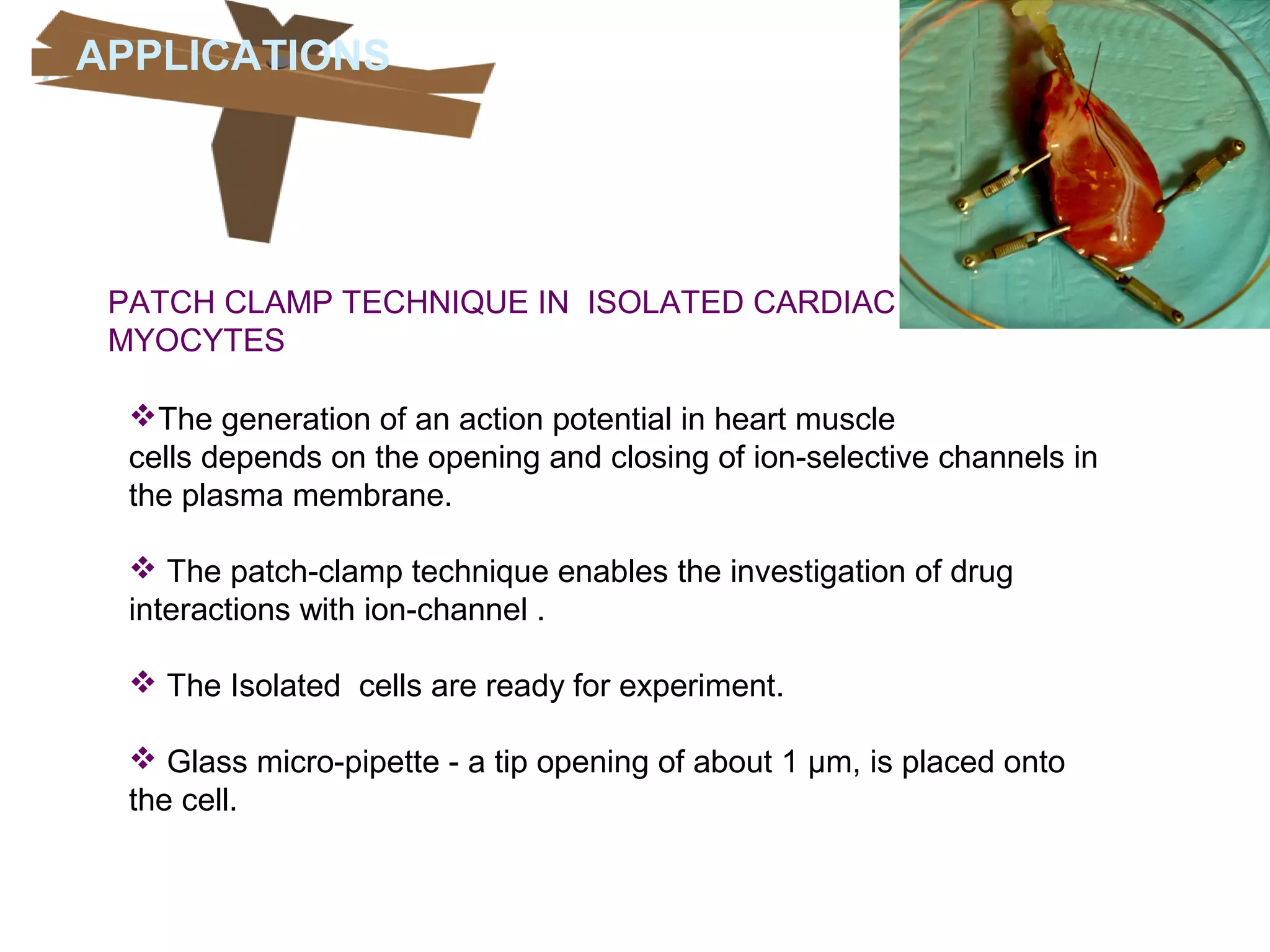 PATCH CLAMP TECHNIQUE IN ISOLATED CARDIAC
MYOCYTES
APPLICATIONSAPPLICATIONS
The generation of an action potential in heart muscle
cells depends on the opening and closing of ion-selective channels in
the plasma membrane.
 The patch-clamp technique enables the investigation of drug
interactions with ion-channel .
 The Isolated cells are ready for experiment.
 Glass micro-pipette - a tip opening of about 1 μm, is placed onto
the cell.
 