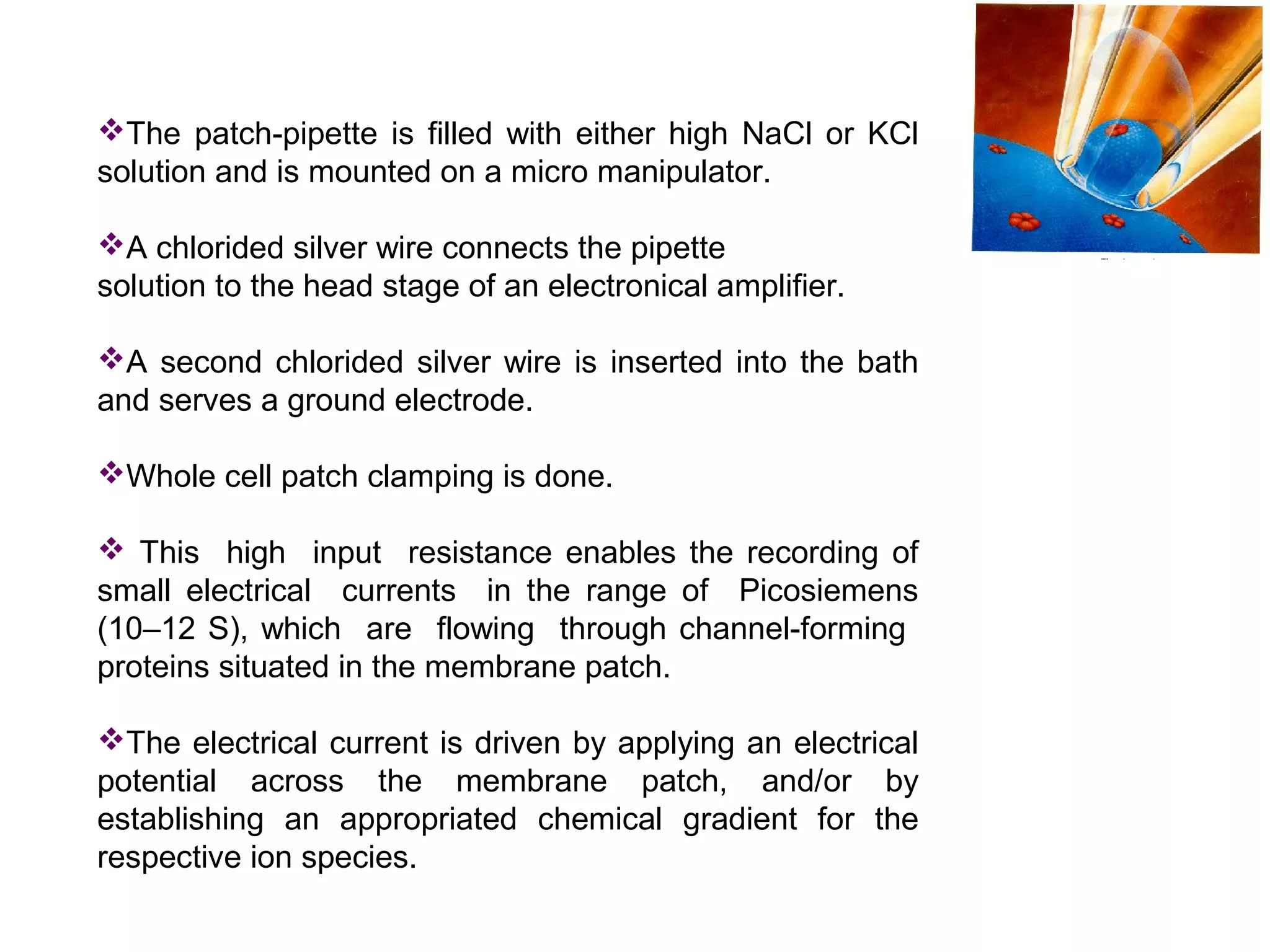 The patch-pipette is filled with either high NaCl or KCl
solution and is mounted on a micro manipulator.
A chlorided silver wire connects the pipette
solution to the head stage of an electronical amplifier.
A second chlorided silver wire is inserted into the bath
and serves a ground electrode.
Whole cell patch clamping is done.
 This high input resistance enables the recording of
small electrical currents in the range of Picosiemens
(10–12 S), which are flowing through channel-forming
proteins situated in the membrane patch.
The electrical current is driven by applying an electrical
potential across the membrane patch, and/or by
establishing an appropriated chemical gradient for the
respective ion species.
 
