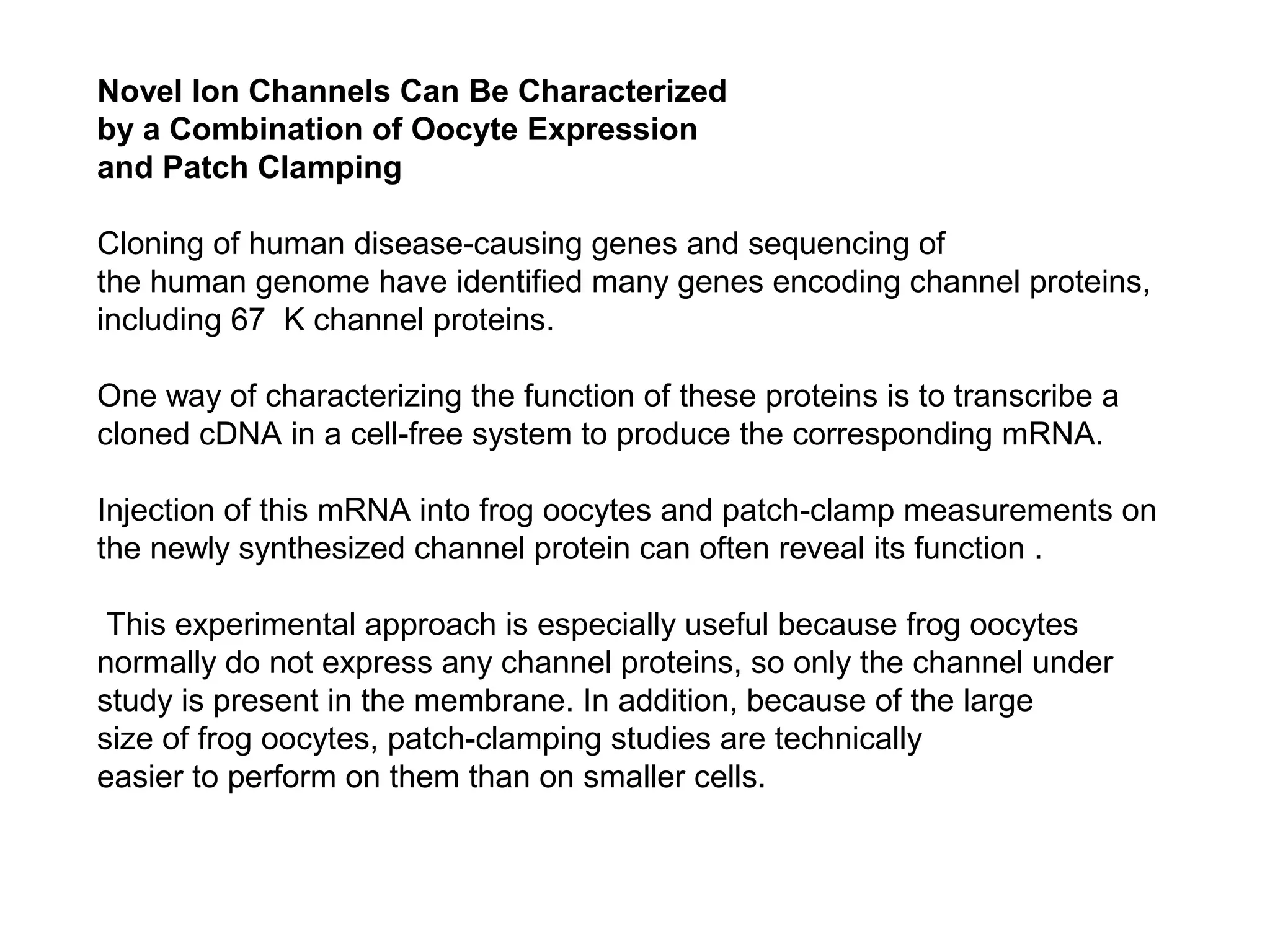 Novel Ion Channels Can Be Characterized
by a Combination of Oocyte Expression
and Patch Clamping
Cloning of human disease-causing genes and sequencing of
the human genome have identified many genes encoding channel proteins,
including 67 K channel proteins.
One way of characterizing the function of these proteins is to transcribe a
cloned cDNA in a cell-free system to produce the corresponding mRNA.
Injection of this mRNA into frog oocytes and patch-clamp measurements on
the newly synthesized channel protein can often reveal its function .
This experimental approach is especially useful because frog oocytes
normally do not express any channel proteins, so only the channel under
study is present in the membrane. In addition, because of the large
size of frog oocytes, patch-clamping studies are technically
easier to perform on them than on smaller cells.
 