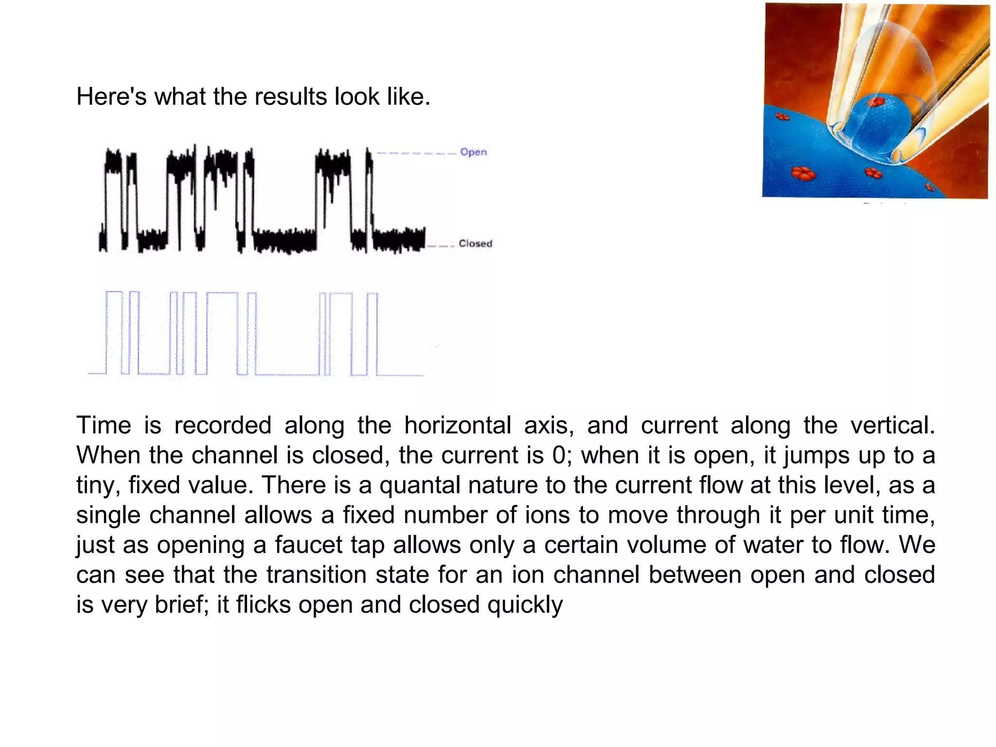 Here's what the results look like.
Time is recorded along the horizontal axis, and current along the vertical.
When the channel is closed, the current is 0; when it is open, it jumps up to a
tiny, fixed value. There is a quantal nature to the current flow at this level, as a
single channel allows a fixed number of ions to move through it per unit time,
just as opening a faucet tap allows only a certain volume of water to flow. We
can see that the transition state for an ion channel between open and closed
is very brief; it flicks open and closed quickly
 
