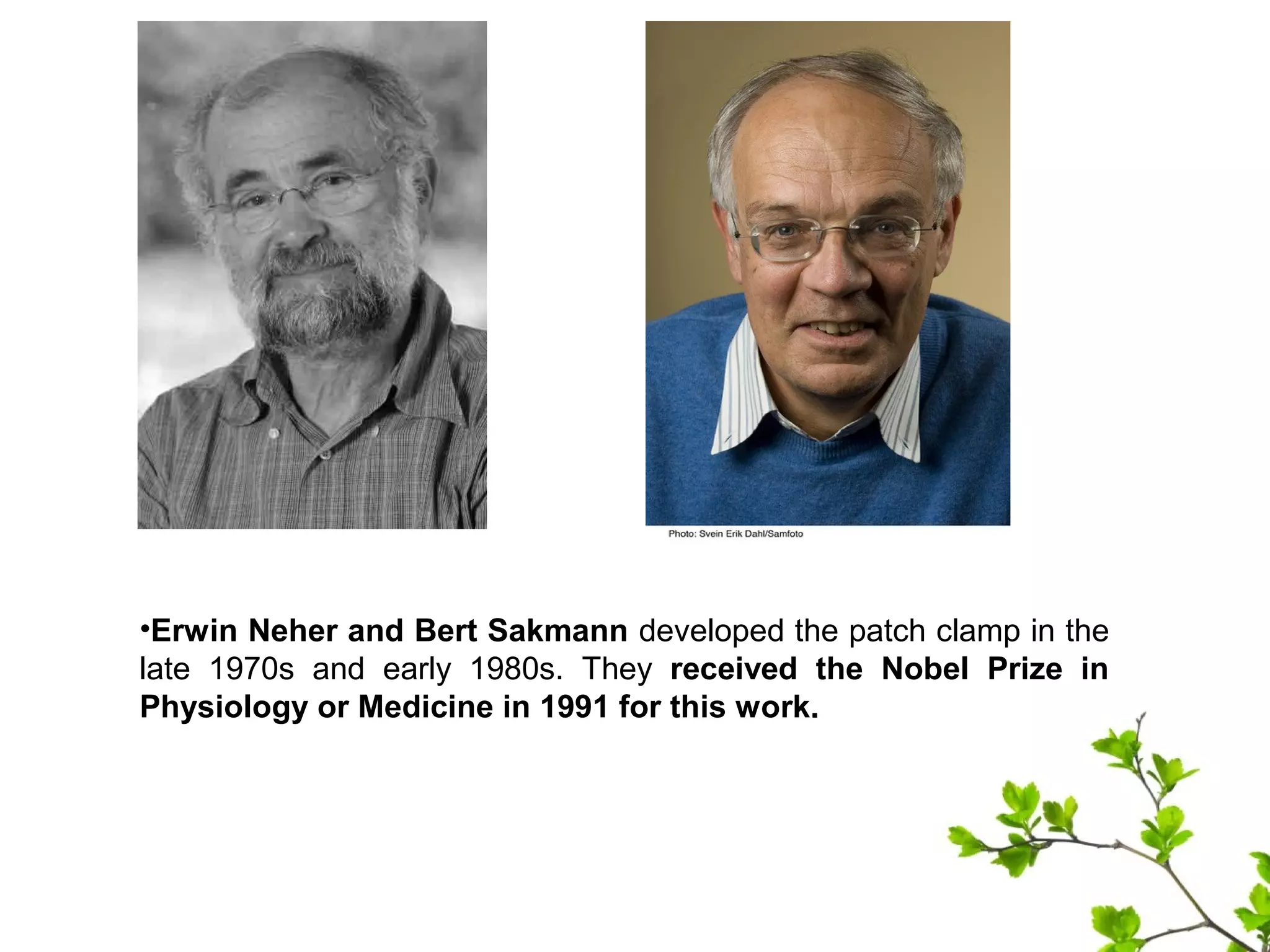•Erwin Neher and Bert Sakmann developed the patch clamp in the
late 1970s and early 1980s. They received the Nobel Prize in
Physiology or Medicine in 1991 for this work.
 